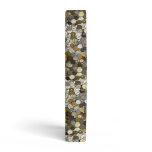 Worldly Money Binder
