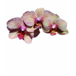 World's Best Mom Orchids Flower Dark T-Shirt