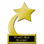 World's Best Secretary, Gold Star Award Trophy photo sculptures
