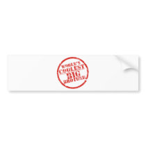World's Coolest Big Brother Bumper Sticker