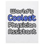 World's Coolest Physician Assistant Flyer
