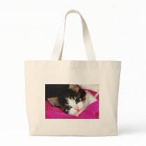 Worlds Cutest Kitten Canvas Bag