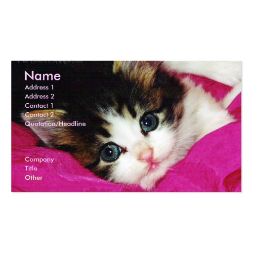 World's Cutest Kitten Business Card (front side)