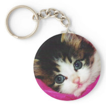 Worlds Cutest Kitten Keychain