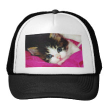 Worlds Cutest Kitten Trucker Hats