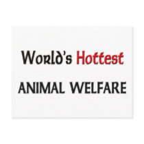 Worlds Hottest Animal Welfare postcards by tshirtshirts Worlds Hottest Animal Welfare postcards