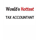 World's Hottest Tax Accountant T-shirt