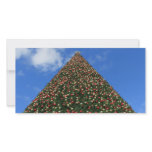 World's Largest Christmas Tree