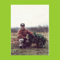World's LARGEST rutabaga! postcards