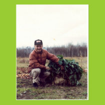 World's LARGEST rutabaga! postcards