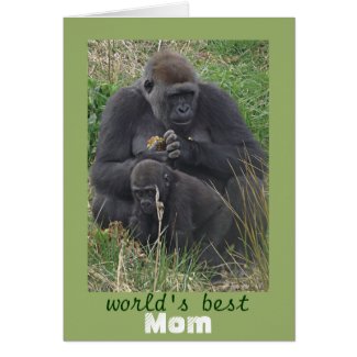 Worlsd Best Mom Cute Animals Photo Card