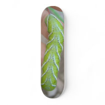 worm board skateboards