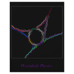 Wormhole Physics flyers