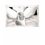 Worms & Milk illustration