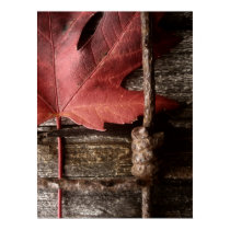 worn and weathered posters