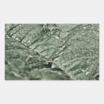 Worn green leaf rectangular stickers