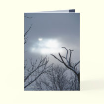 Worship the Sun cards by MoiraAshleigh Worship the Sun cards