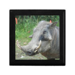 wort-hog10x10 trinket boxes