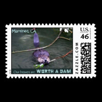 Worth A Dam Stamp stamps