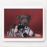 Would someone get this puppy off of me? mousepads