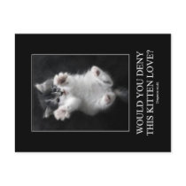 Would you deny this kitten love? Postcard by kimbessent Would you deny this kitten love? Postcard
