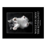 Would you deny this kitten love? Postcard