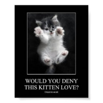 Would you deny this kitten love? Poster posters