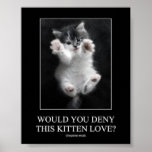 Would you deny this kitten love? Poster