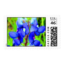 WOW Bluebonnet stamps