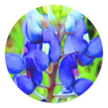 WOW Bluebonnet stickers