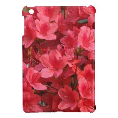 Wow Cover For The iPad Mini