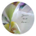 Wow Phalaenopsis Orchid Wedding Invitation Seals stickers by naturalilly Wow Phalaenopsis Orchid Wedding Invitation Seals stickers