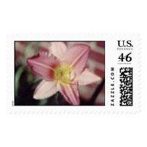 wow postage by tinkerbellekel wow postage