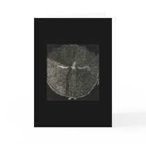 Wow What a woman (black background) cards