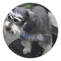WOW-Zer Schnauzer stickers