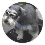 WOW-Zer Schnauzer stickers