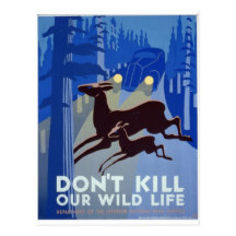 WPA - Wildlife Postcards