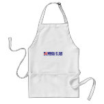 Wrangell-St. Elias National Park aprons