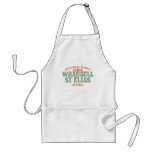 Wrangell St Elias National Park aprons