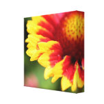Wrapped botanical canvas flower photography print gallery wrap canvas