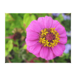 Wrapped  Canvas Canvas Prints