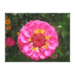 Wrapped Canvas Stretched Canvas Print