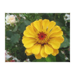 Wrapped Canvas Stretched Canvas Prints