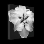Wrapped Canvas Black and White Flower canvas prints