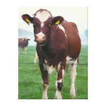 Wrapped canvas: Cowy Stretched Canvas Prints