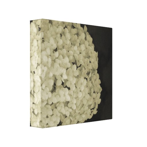 Wrapped canvas flower photography print artwork canvas prints