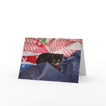 wrapped up greeting cards