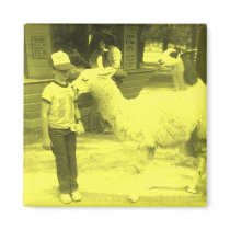 Wrecked 'Um Yellow Biting Llama Magnet by thekingchivas Wrecked 'Um Yellow Biting Llama Magnet