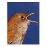 WREN DEL CANTO POSTALES