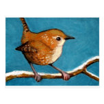 WREN EN PASTEL DEL ACEITE POSTALES